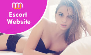 Escort Website